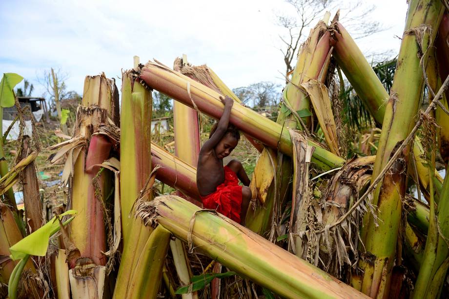 Vanuatu Thiệt hại lớn về nông nghiệp, FAO kêu gọi hỗ trợ khẩn cấp cho nông dân